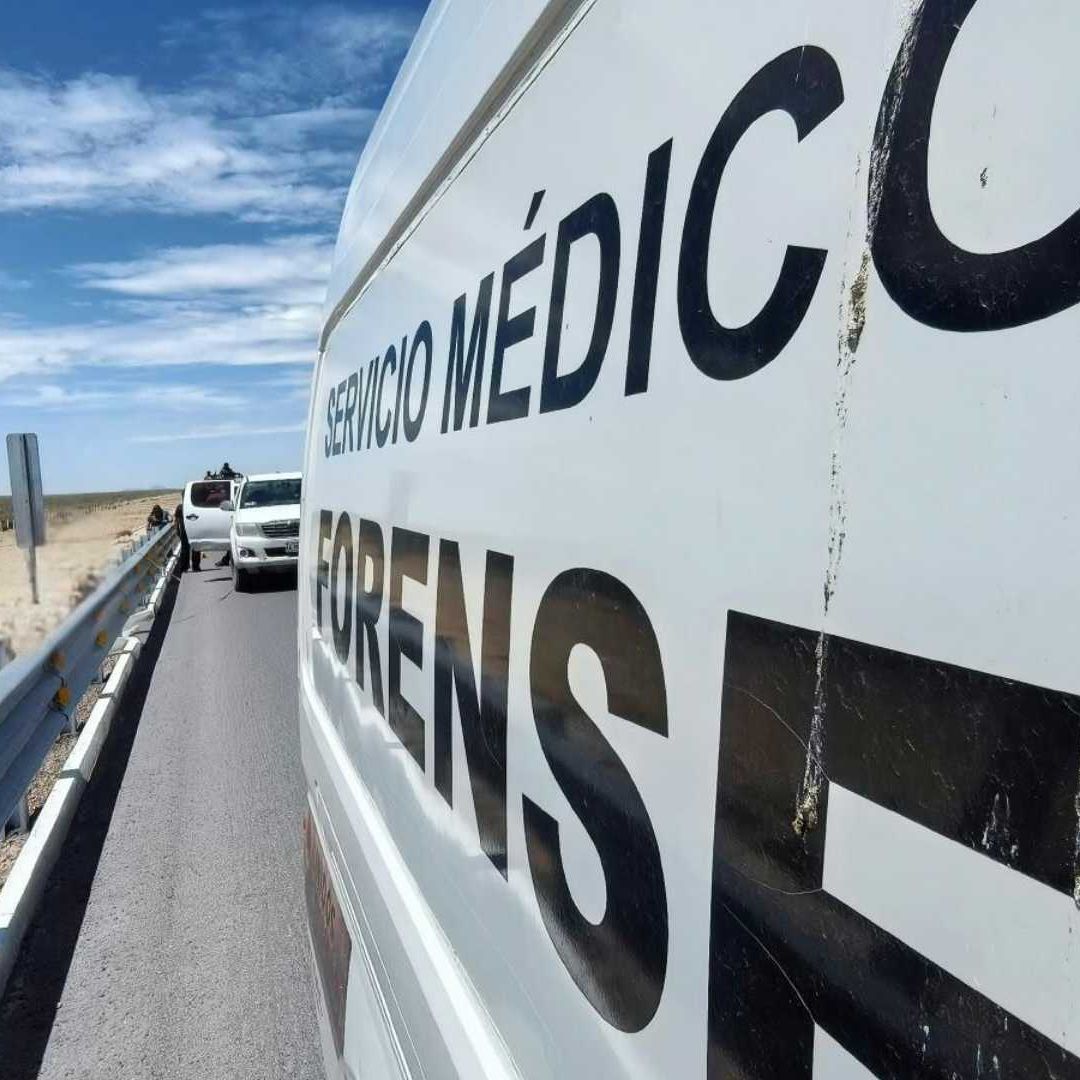 El Cuerpo fue Localizado en Avanzado Estado de Descomposición